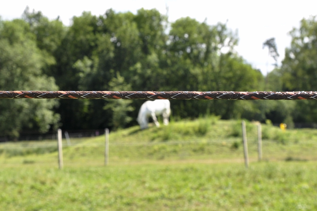 Elektrische Afrastering Voor Paarden I 1 Specialist I Gallagher